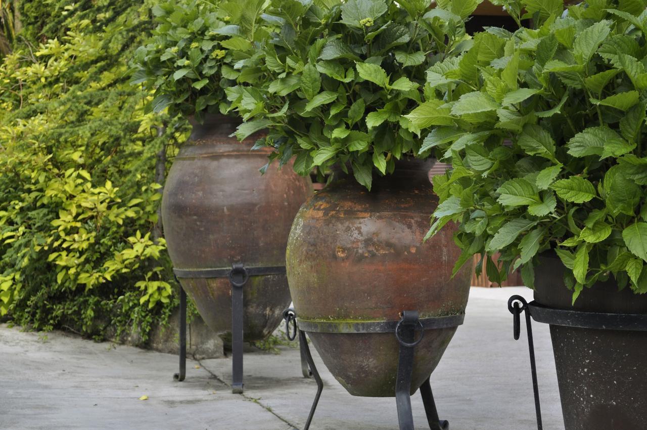 Pazo De Monterrei Hotel Ourense Ngoại thất bức ảnh